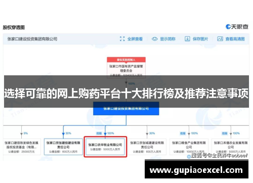 选择可靠的网上购药平台十大排行榜及推荐注意事项
